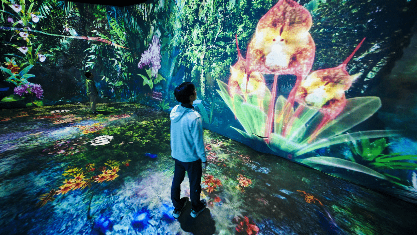 Disguise's latest EX 2C server powers The Hidden Forest in Singapore